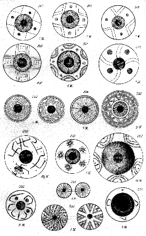 Symbols from Ancient Troy